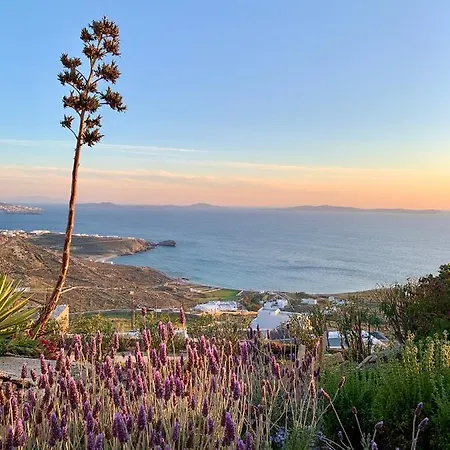 The Seaview Tatil Evi